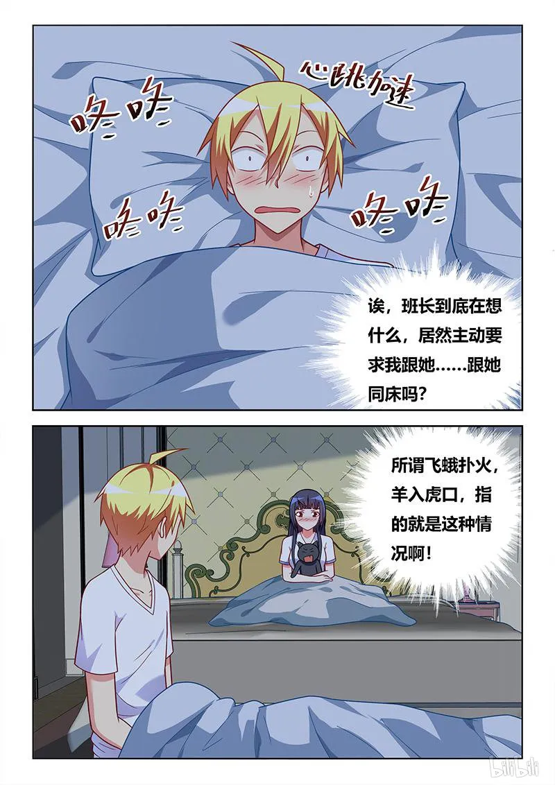 427 以猫为界 第2页