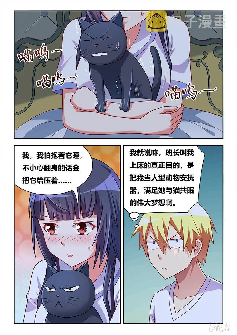 427 以猫为界 第3页