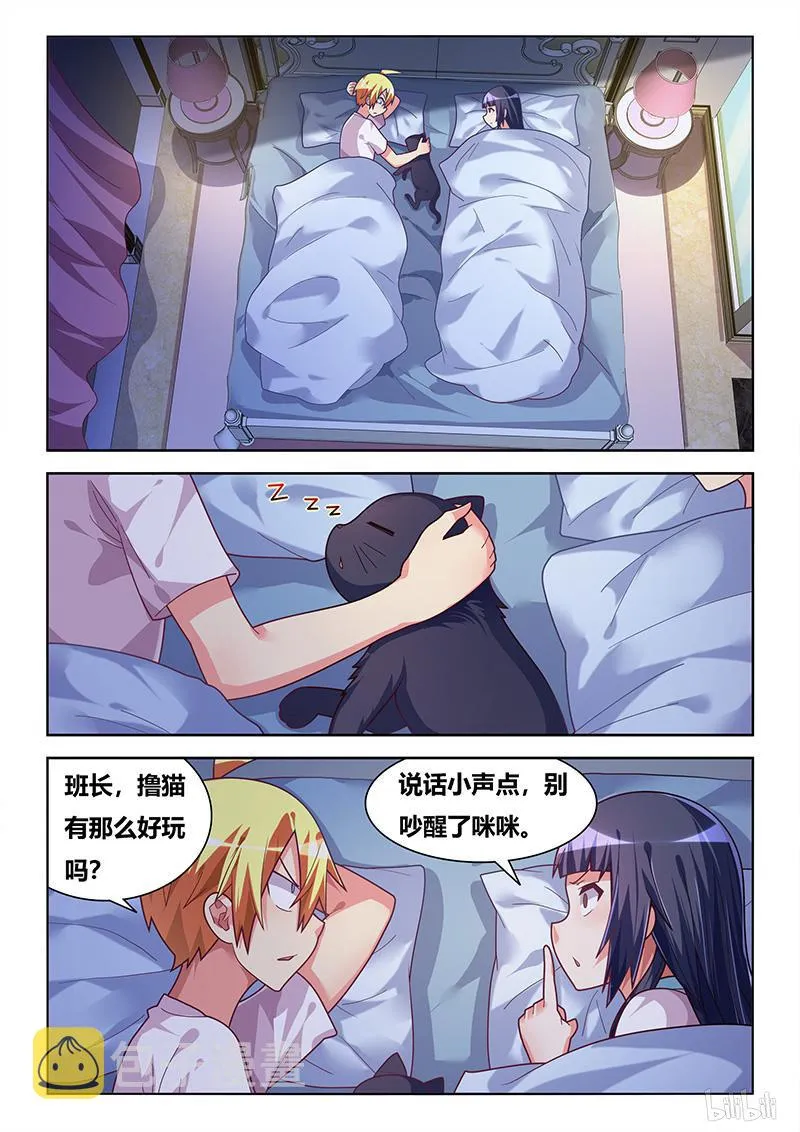 427 以猫为界 第6页