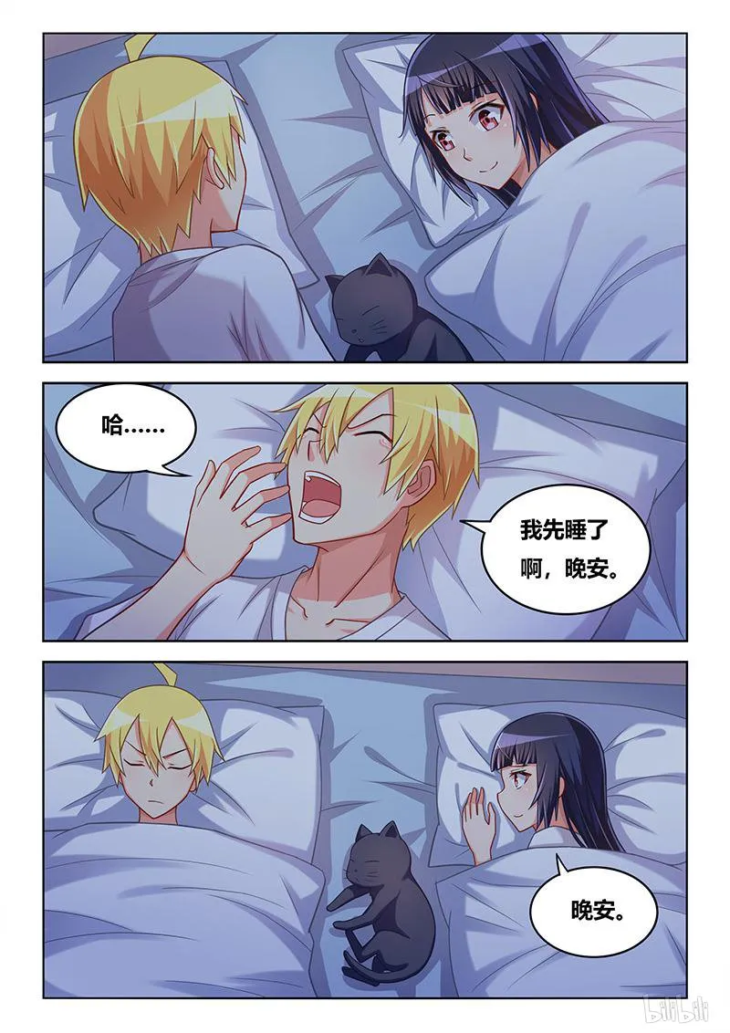 427 以猫为界 第7页