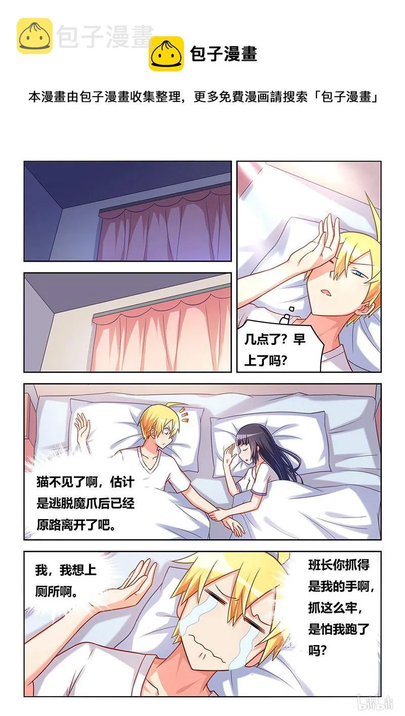 427 以猫为界 第8页
