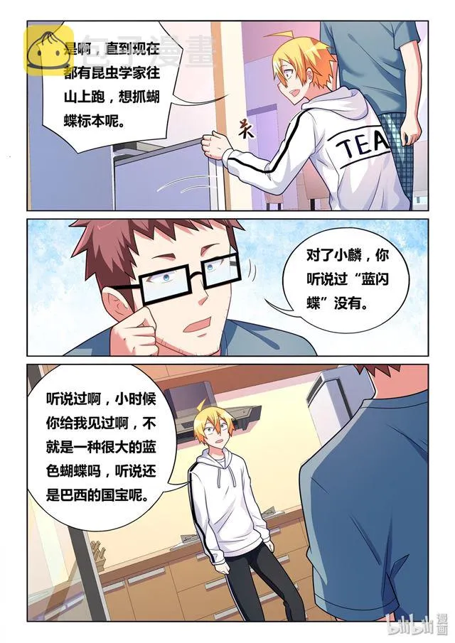 467 蓝闪蝶 第11页