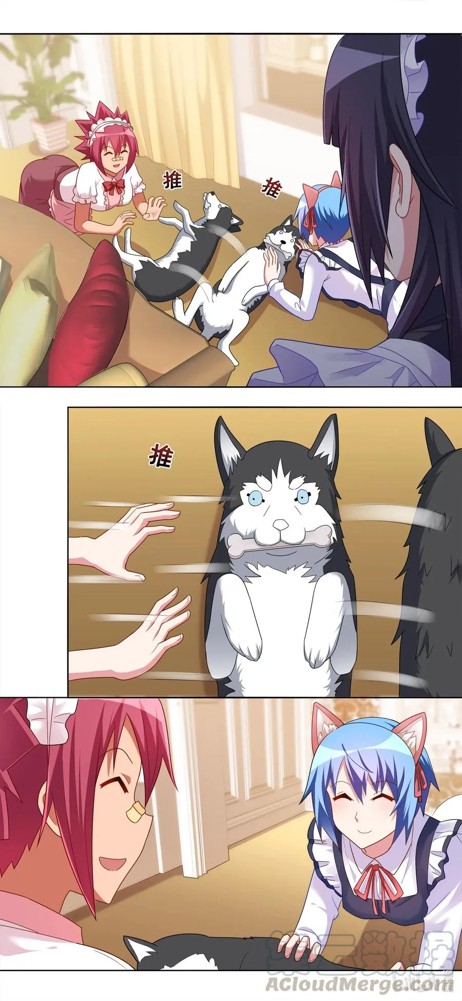 665 猫狗乐园 第5页