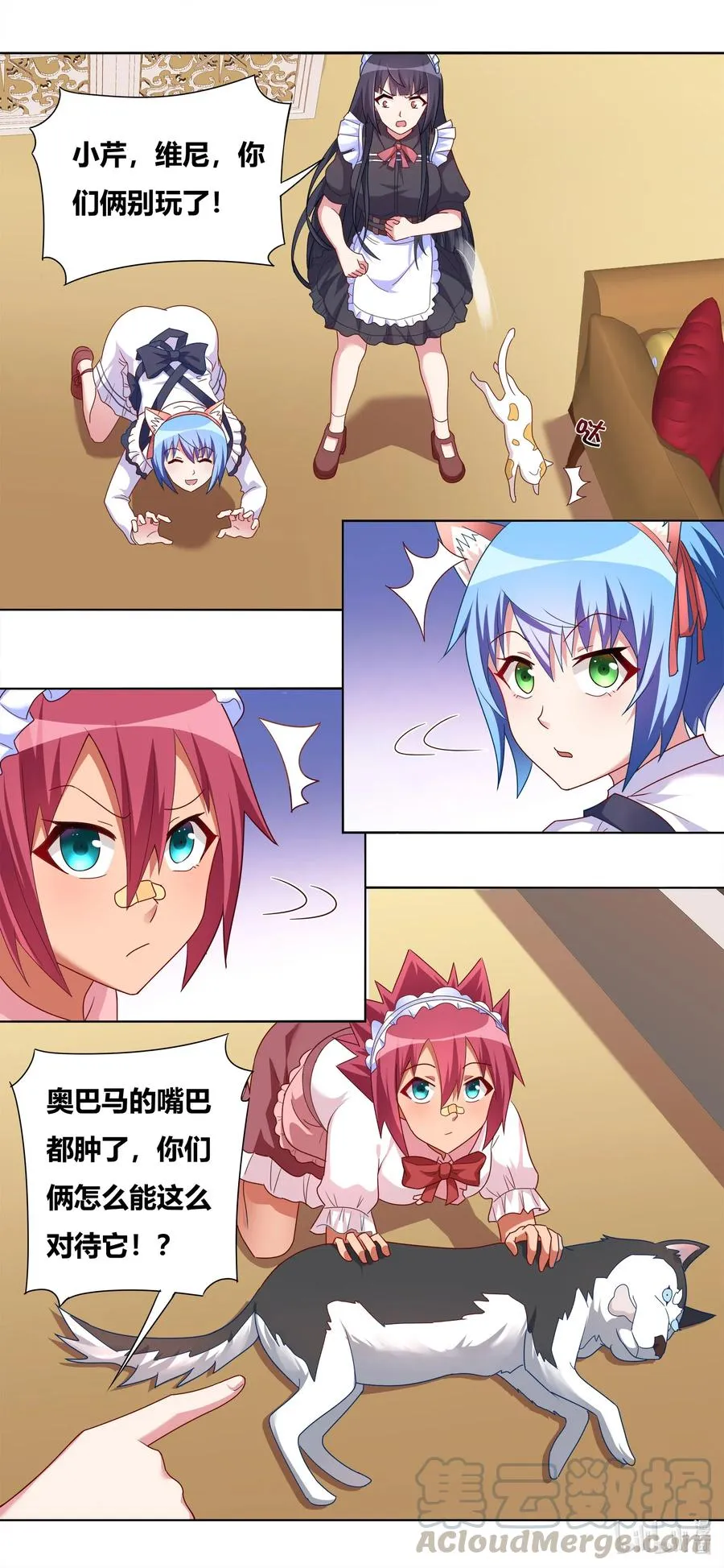 665 猫狗乐园 第6页