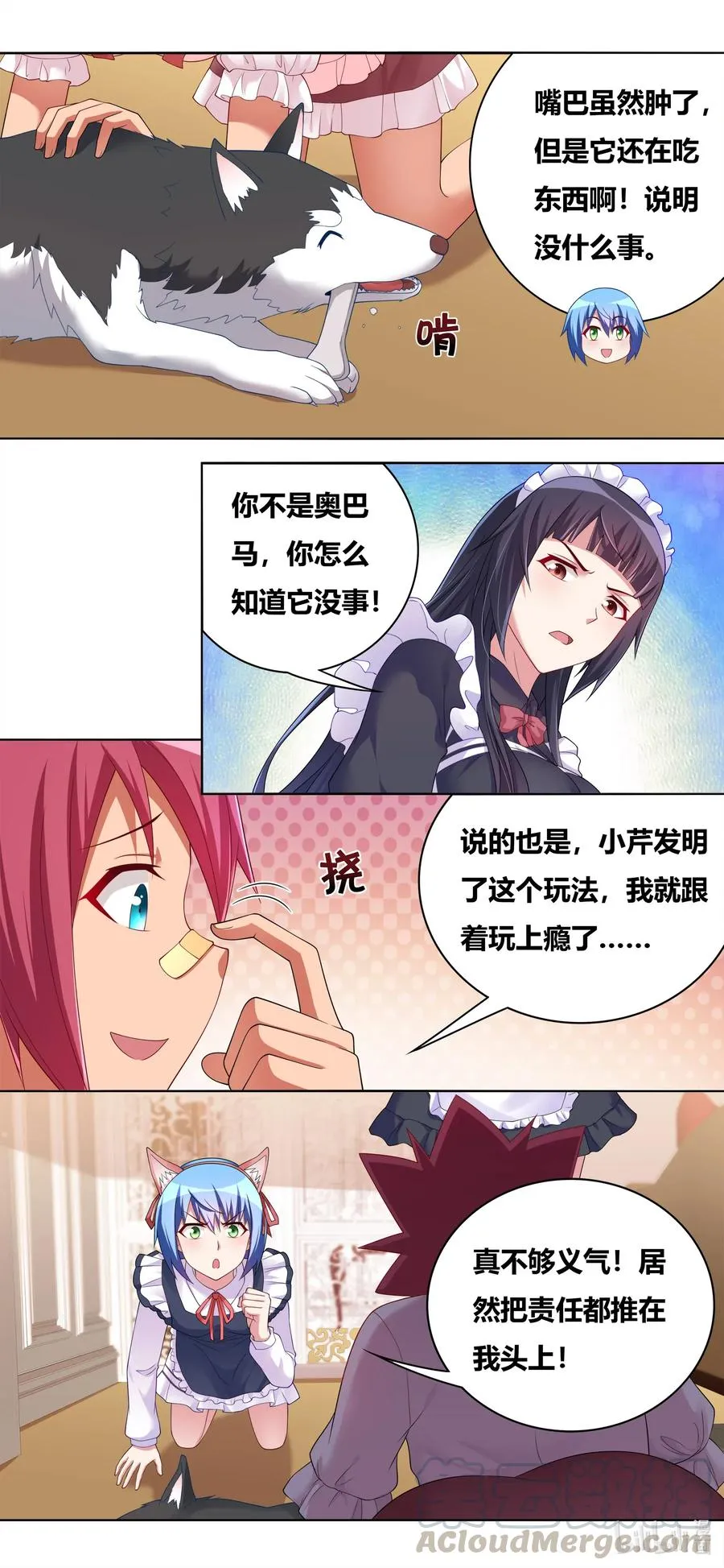 665 猫狗乐园 第7页