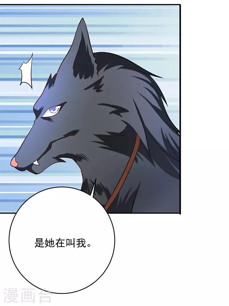 第7话 隐瞒的秘密 第19页