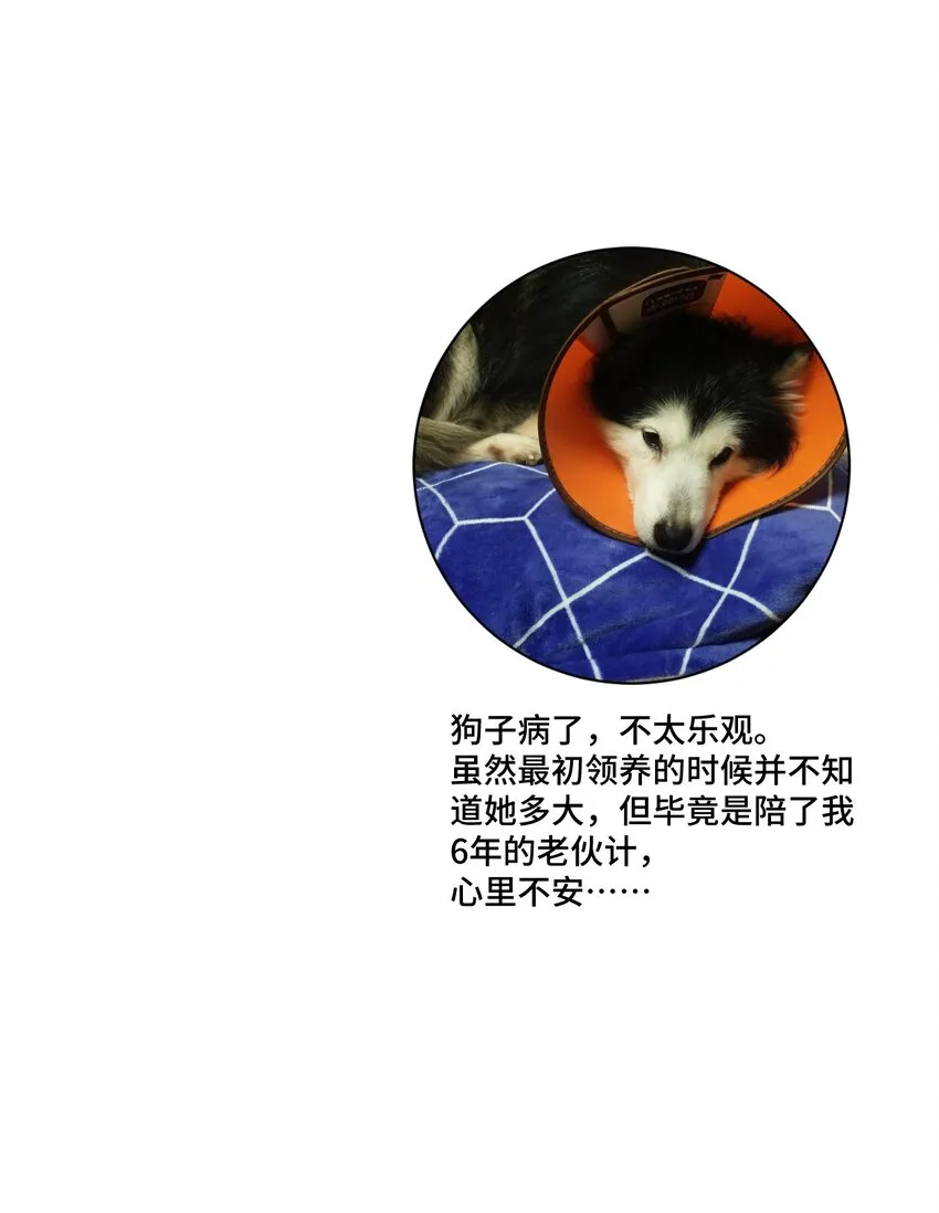 67 黑暗中的遗漏 第57页
