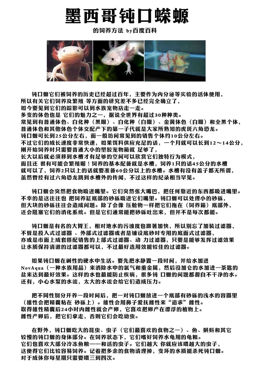 番外02 第25页