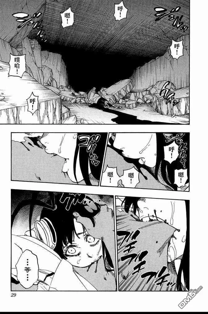 第67卷 第29页