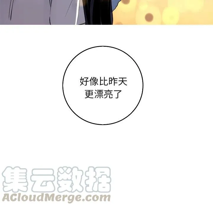 60 第40页