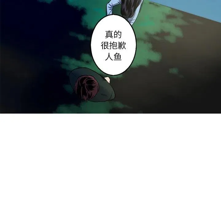 58 第51页