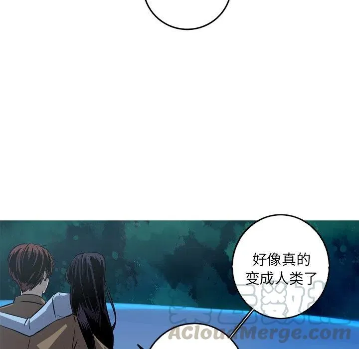 54 第49页