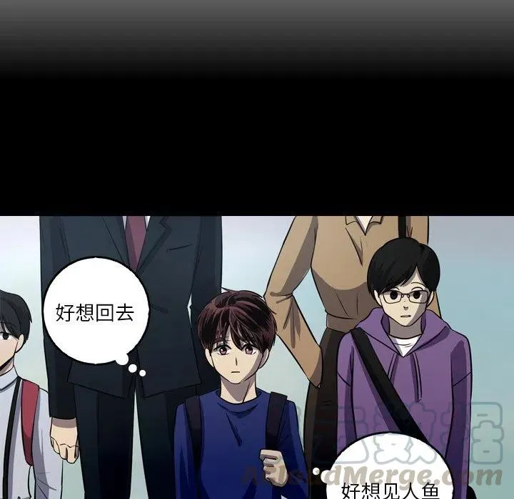 53 第31页