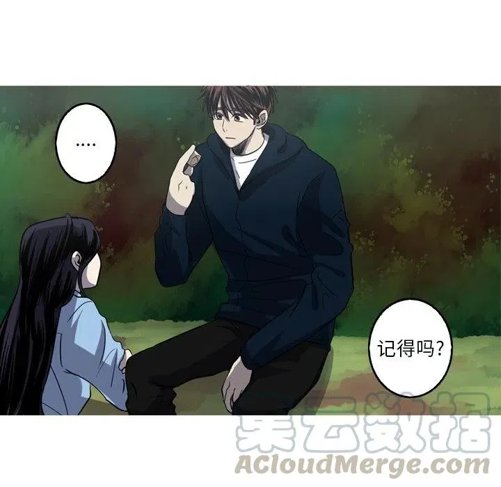 51 第25页