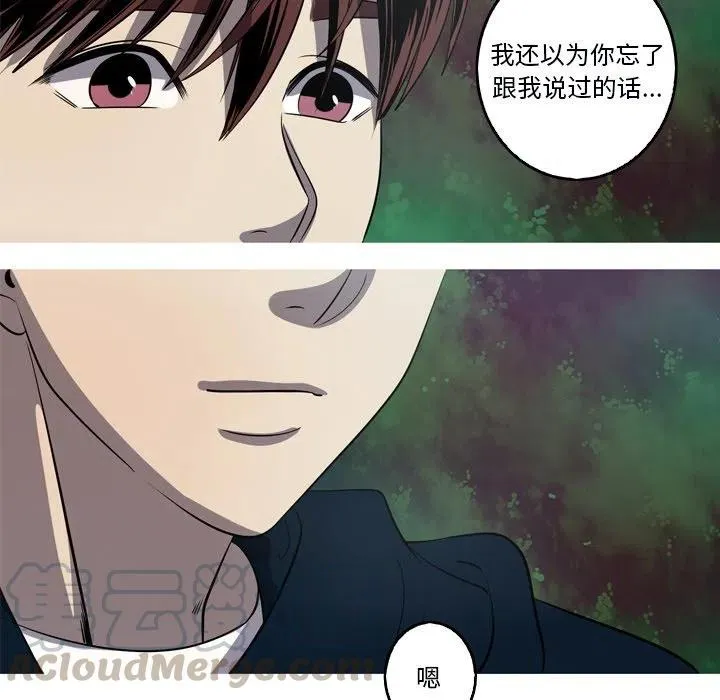 51 第55页