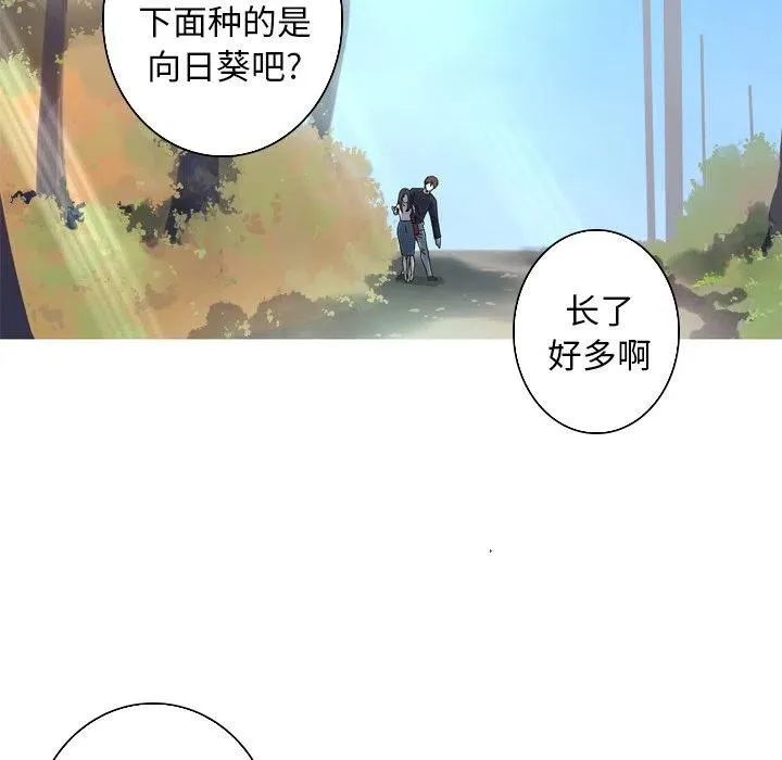 50 第8页