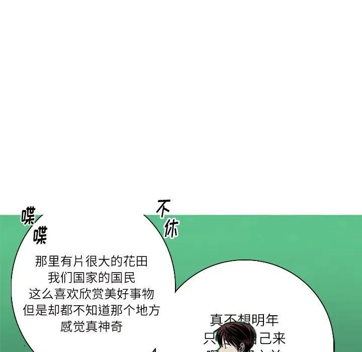 50 第15页