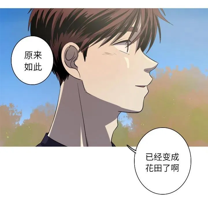 50 第24页