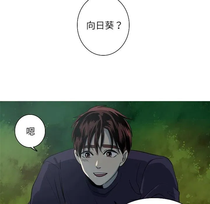 50 第48页