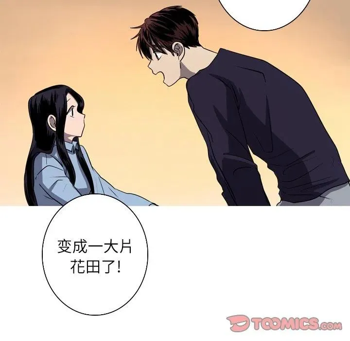 50 第50页
