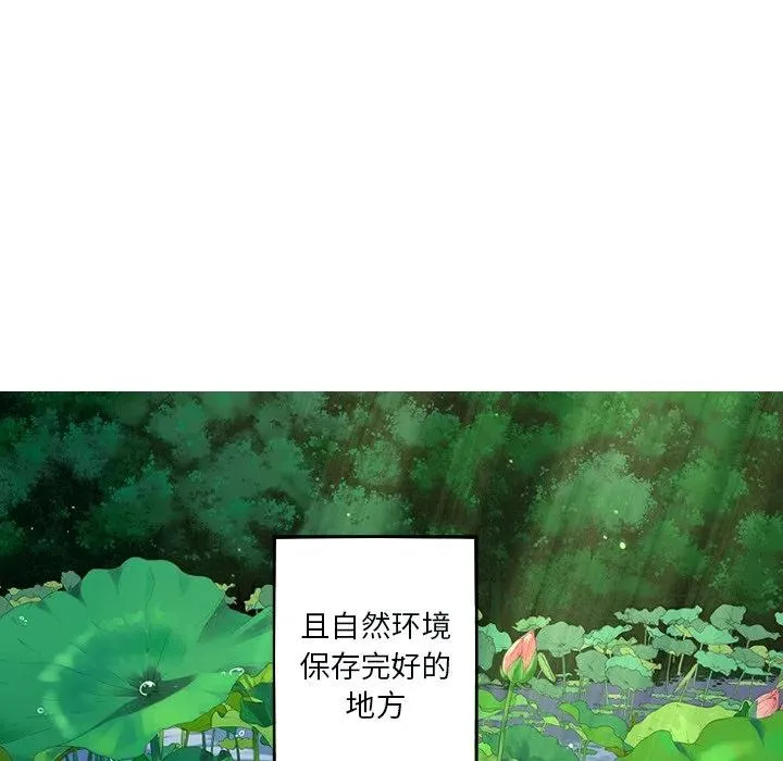 49 第11页