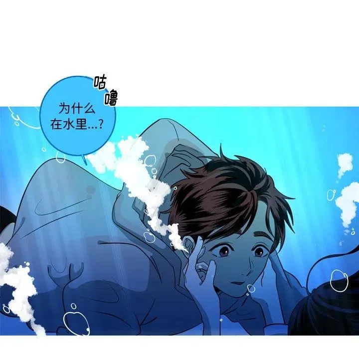 48 第8页