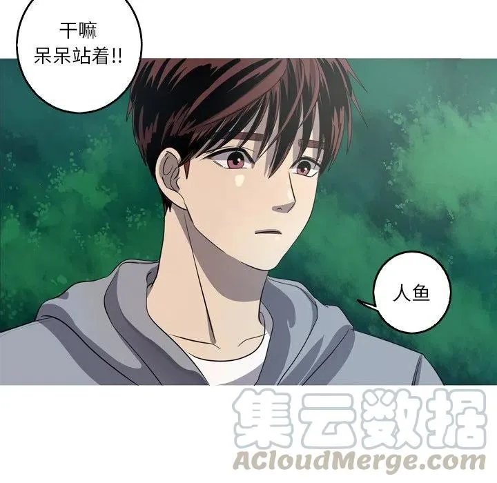 47 第31页