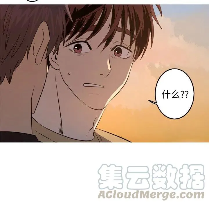 46 第64页