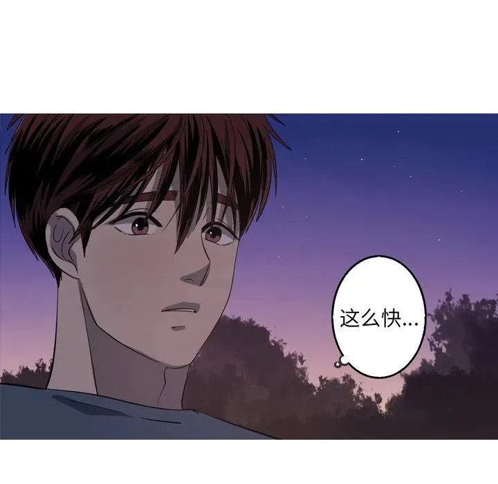 45 第41页