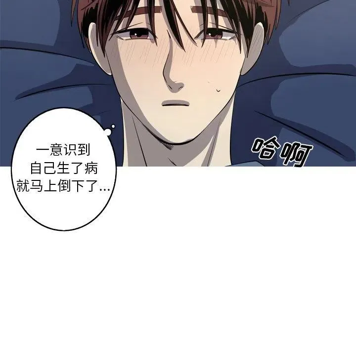 44 第51页