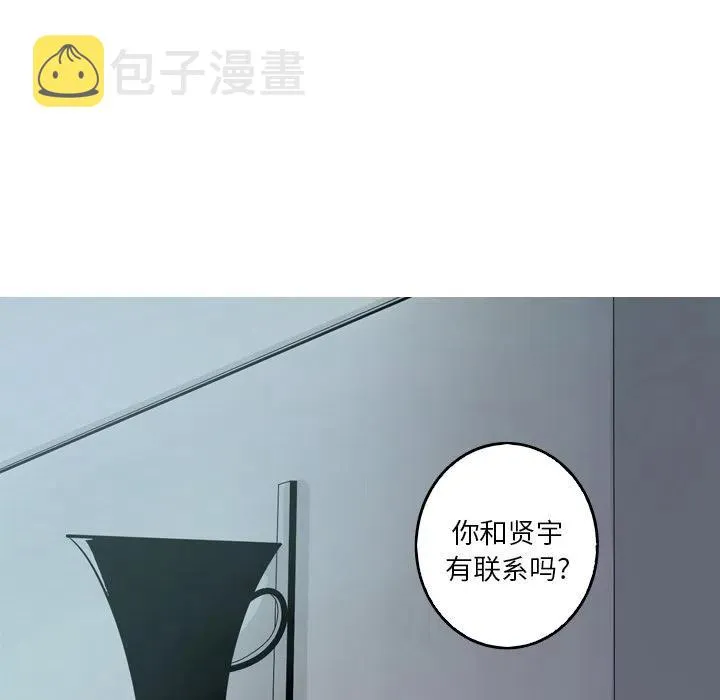 43 第41页
