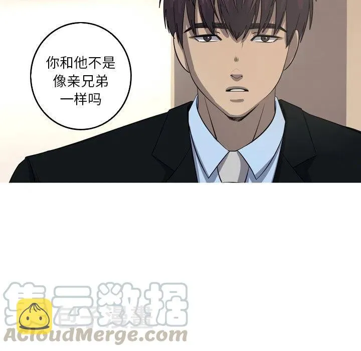 43 第43页