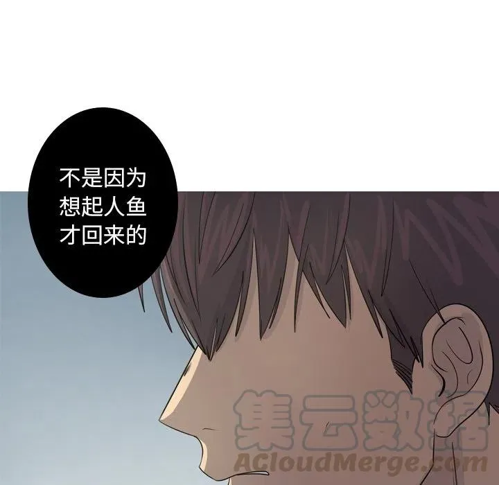 43 第61页