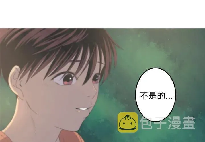 41 第3页