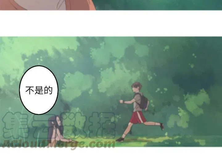 41 第4页