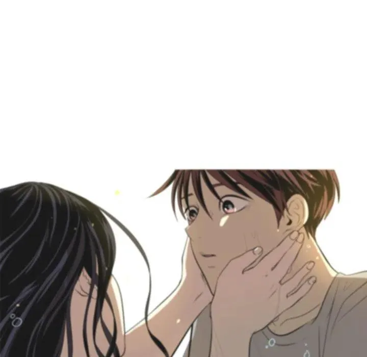 41 第6页
