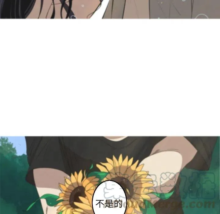 41 第7页