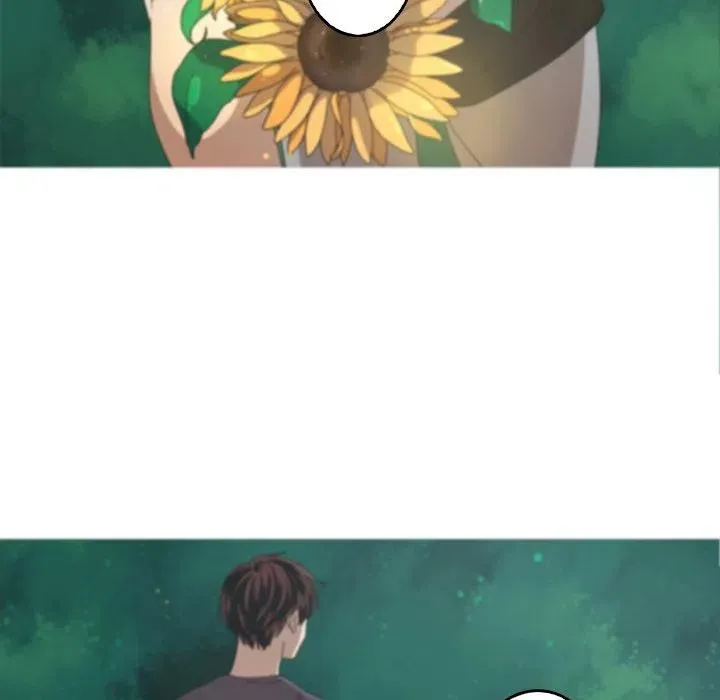 41 第8页