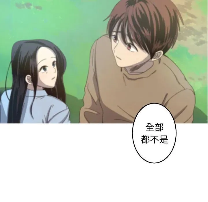41 第11页