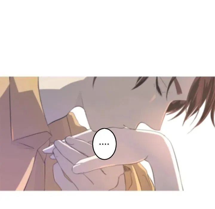 41 第14页