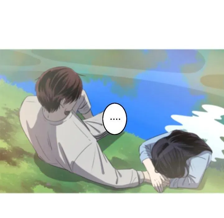 41 第15页