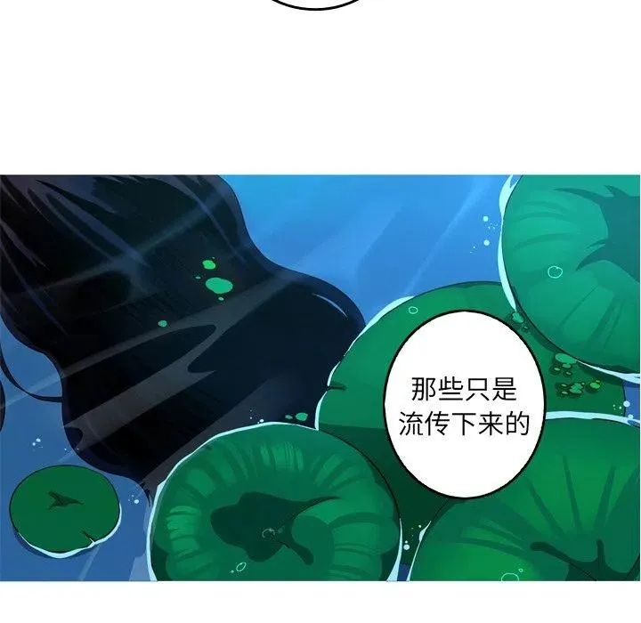 41 第24页