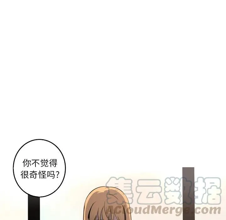 41 第28页