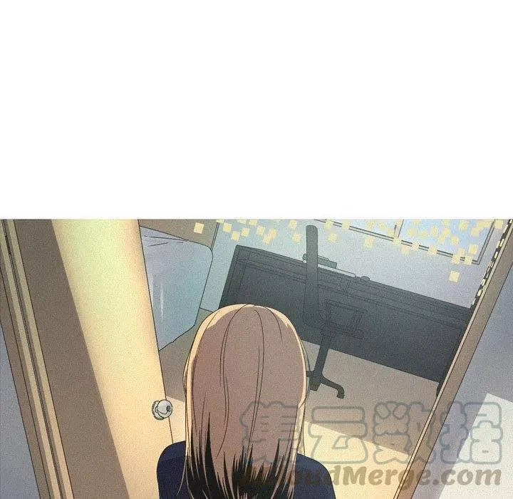 41 第31页