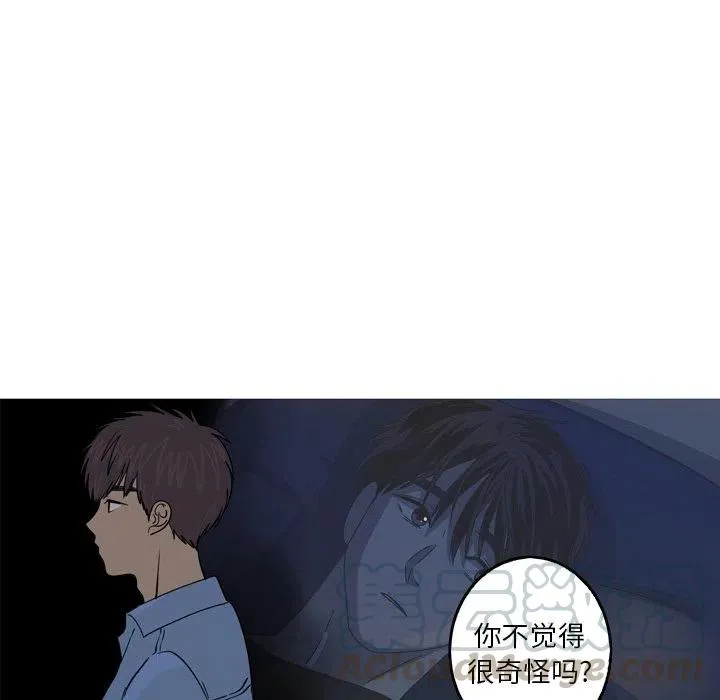 41 第55页