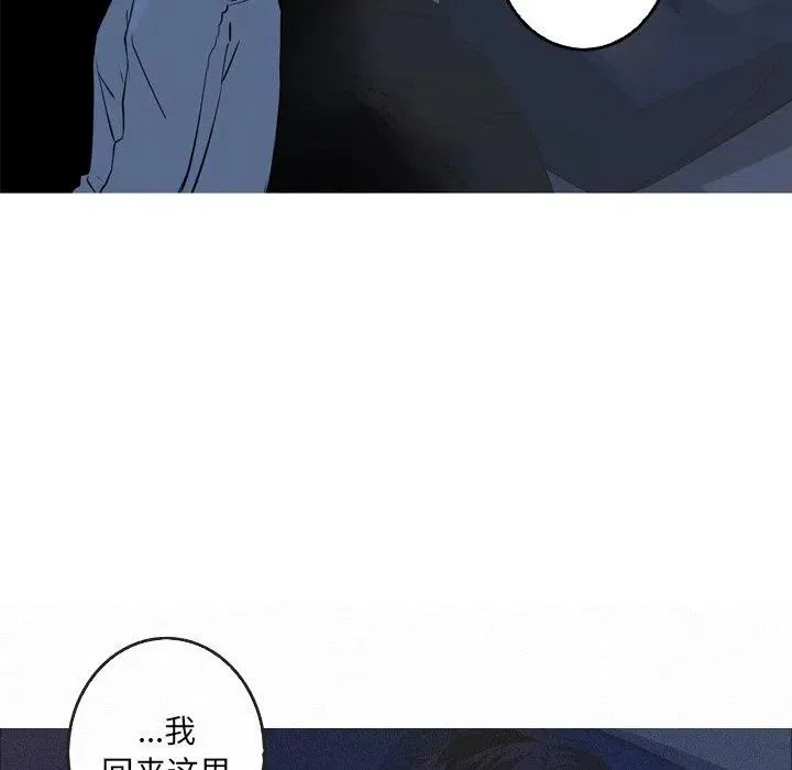 41 第56页