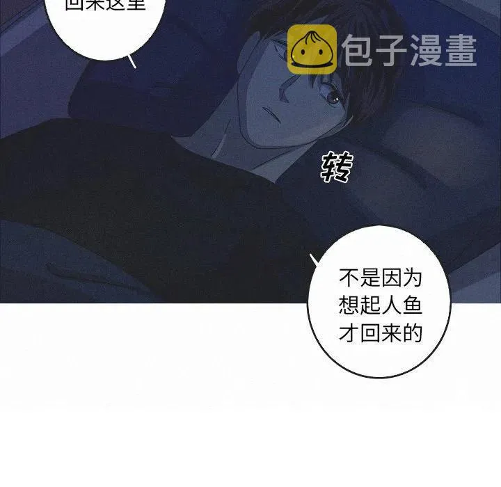 41 第57页
