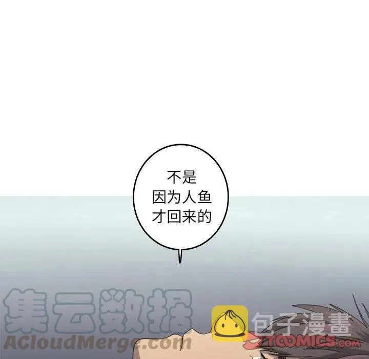 41 第58页