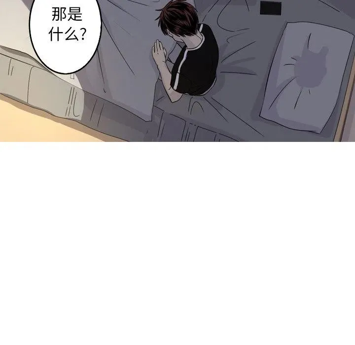 41 第66页