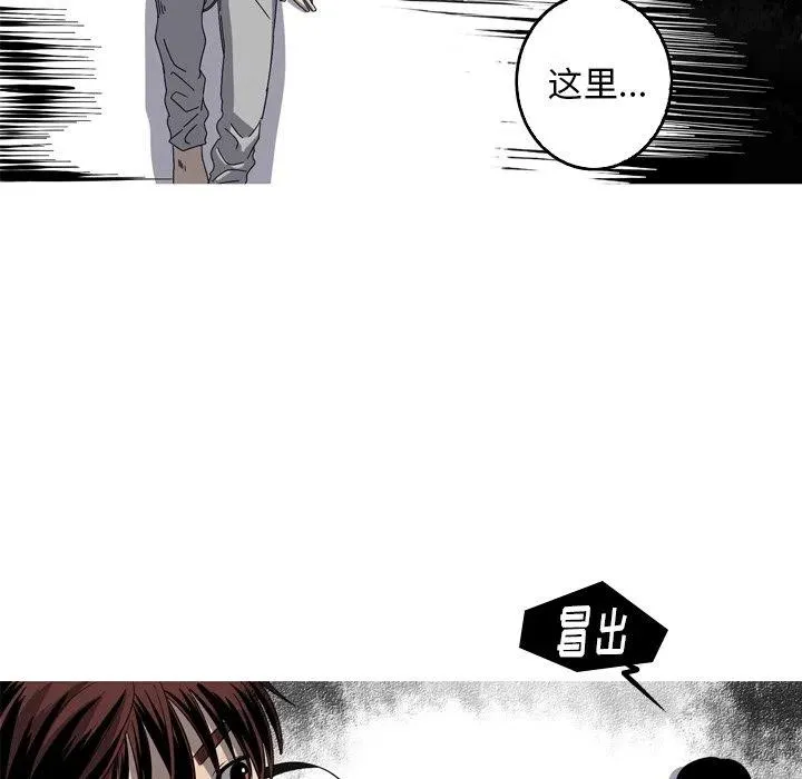 41 第72页